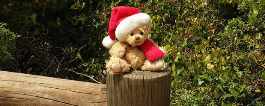 Small plush teddy bear on a stump wearing a Santa hat