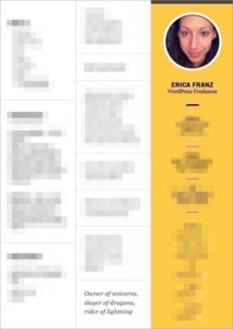 Erica Franz'' resume, mostly blurred out