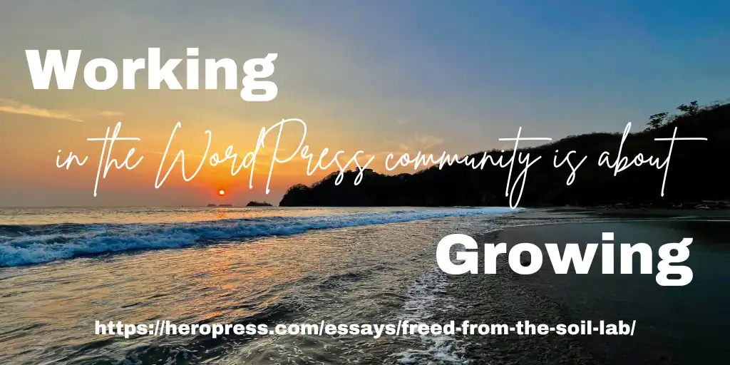 Pull quote: Working in the WordPress community is about growing.