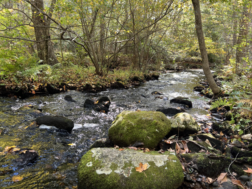 Sin and Flesh Brook in the woods of Fort Barton in Tiverton, Rhode Island.

